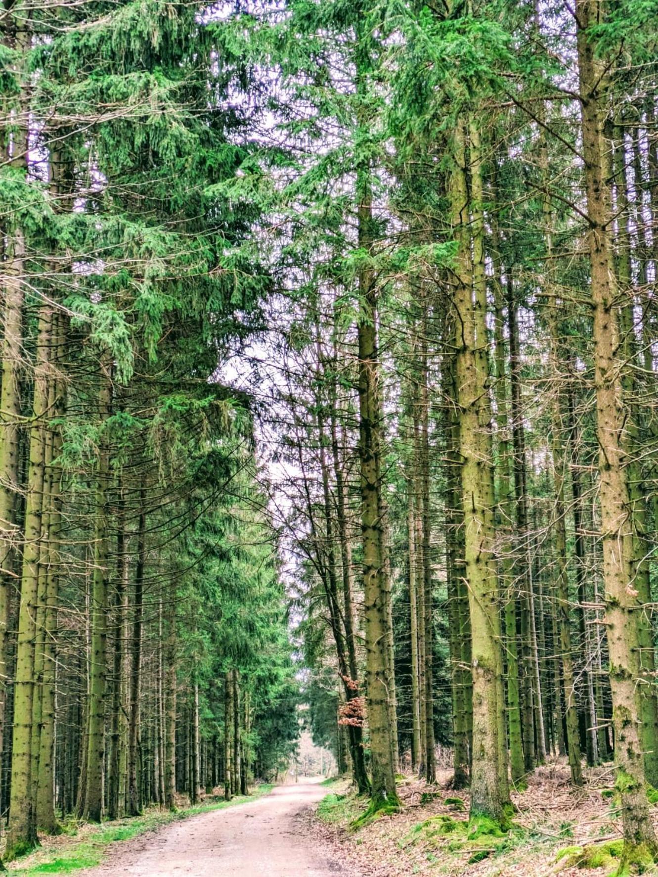 Haus Paradiesecke Waldbrunn  Экстерьер фото